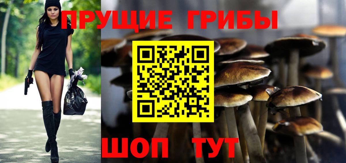 Псилоцибиновые грибы мицелий Белая Калитва
